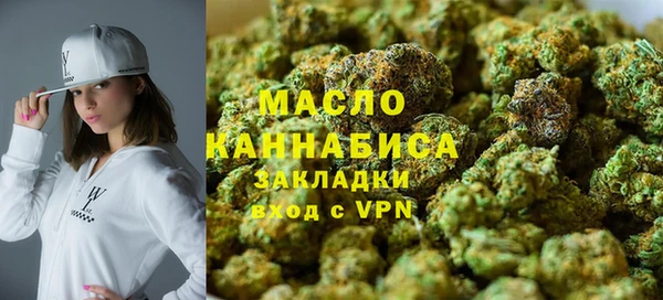мдпв Богородицк