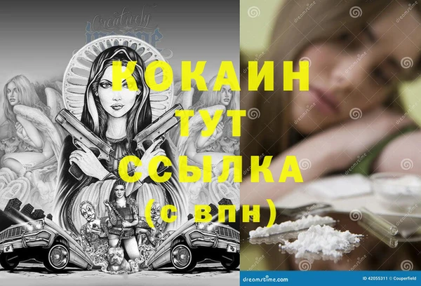 индика Тавда
