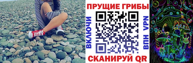 Галлюциногенные грибы Cubensis  Купить где  Новосибирск 